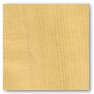 Adirondack Spruce