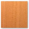 Cedar
