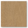 Honduran Mahogany